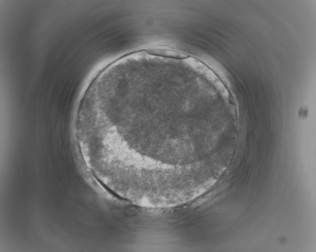 X0000116781104201001281649