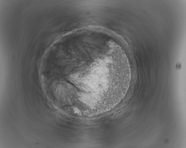 X0000116781105201001281648