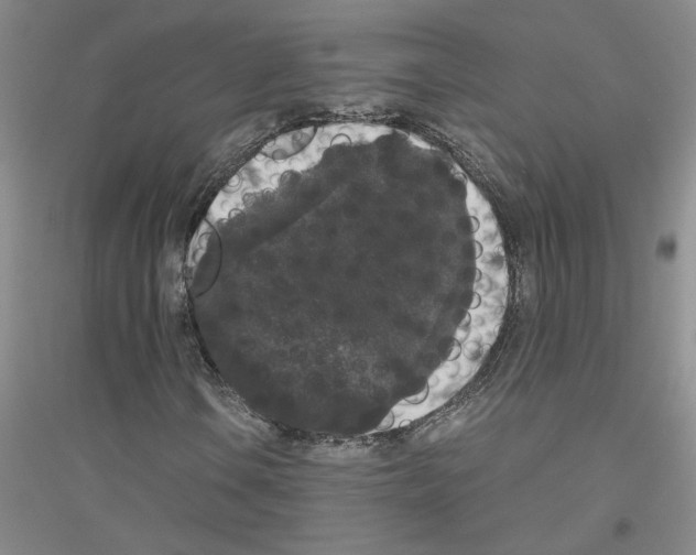 X0000116781106201001281648