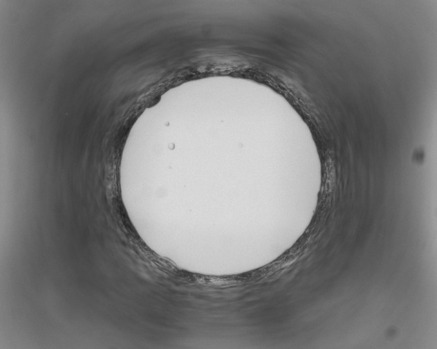 X0000116781109201001281648