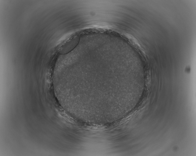 X0000116781110201001281648