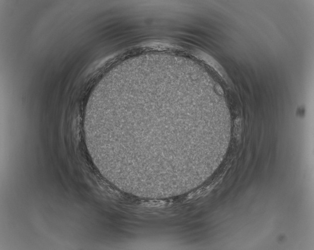 X0000116781111201001281648