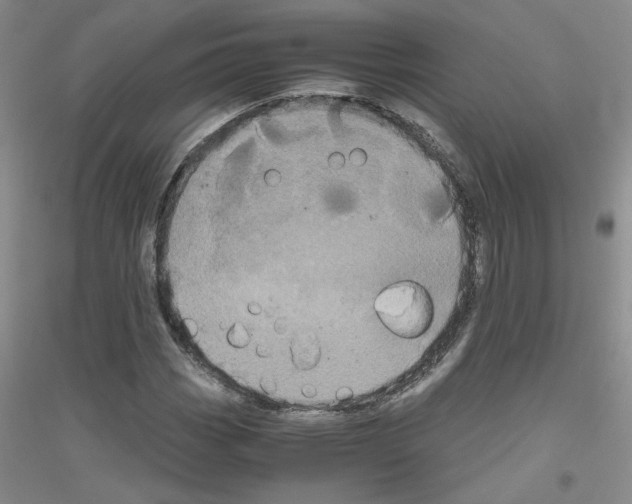 X0000116781113201001281648