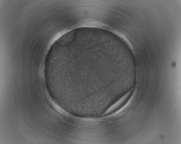 X0000116781114201001281648