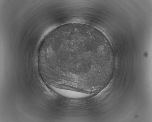 X0000116781115201001281648