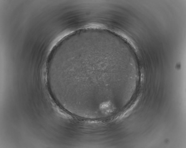 X0000116781117201001281648