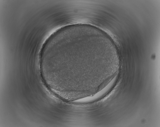 X0000116781118201001281648