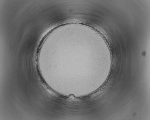 X0000116781119201001281648