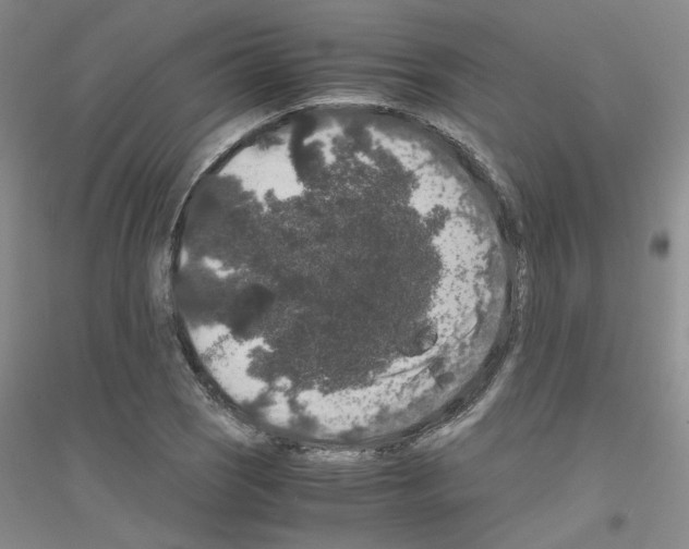 X0000116781121201001281648