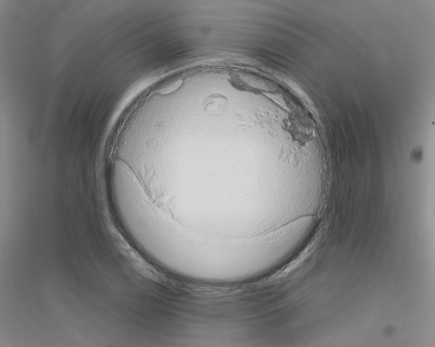 X0000116781122201001281648