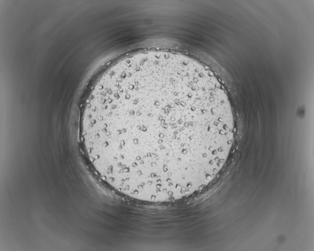 X0000116781123201001281648