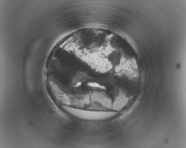 X0000116781125201001281648