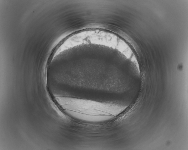 X0000116781127201001281648