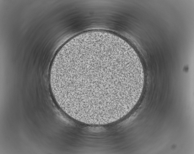 X0000116781129201001281648