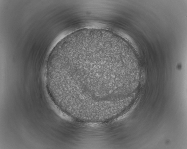 X0000116781130201001281648