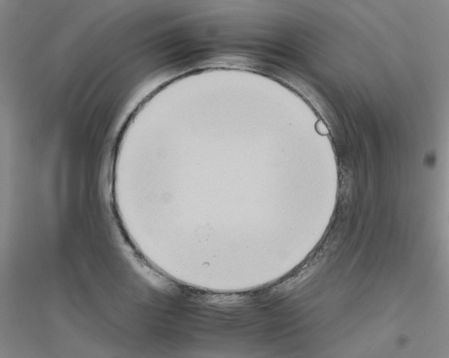 X0000116781131201001281648