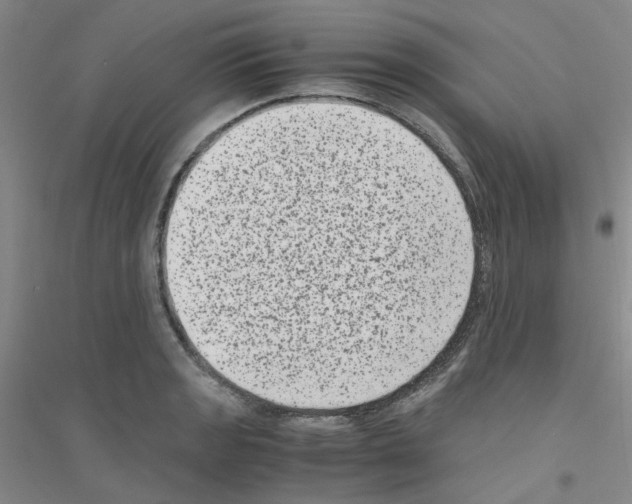 X0000116781133201001281648