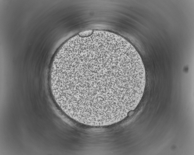 X0000116781134201001281648