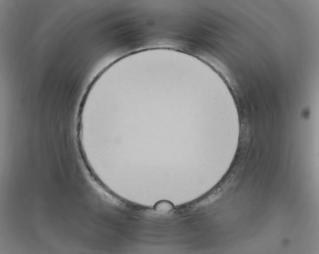 X0000116781135201001281648