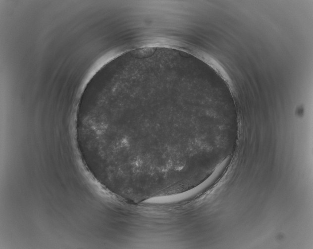 X0000116781138201001281648