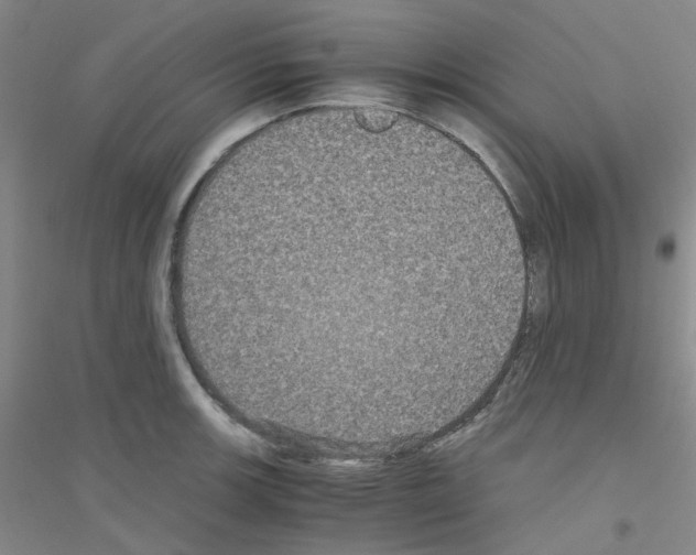 X0000116781139201001281648