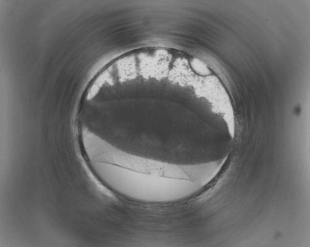 X0000116781141201001281648