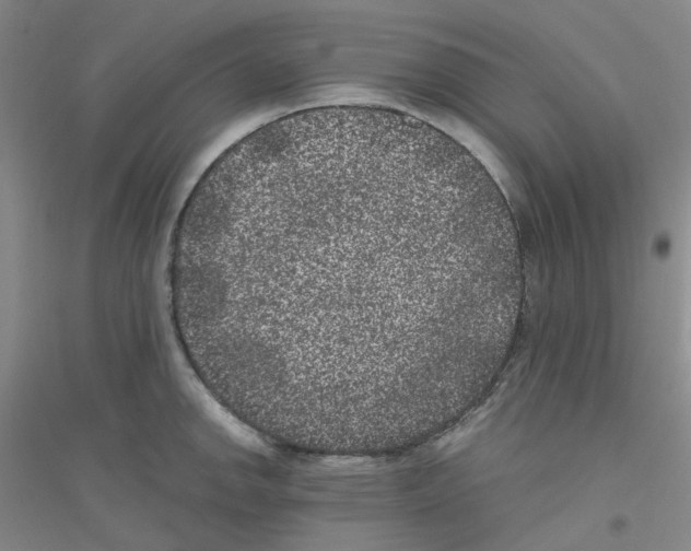 X0000116781142201001281648