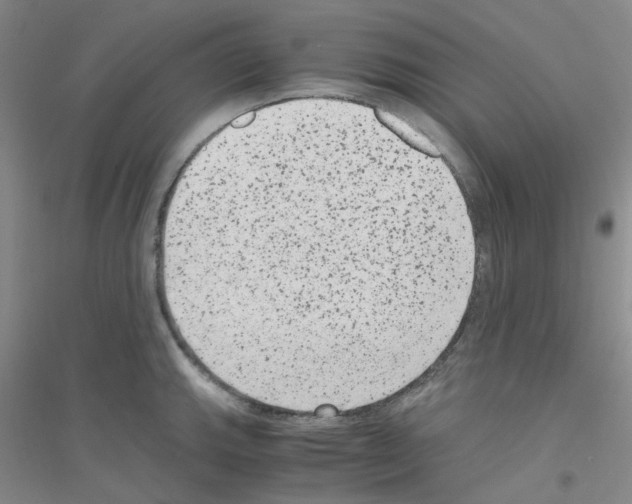 X0000116781143201001281648