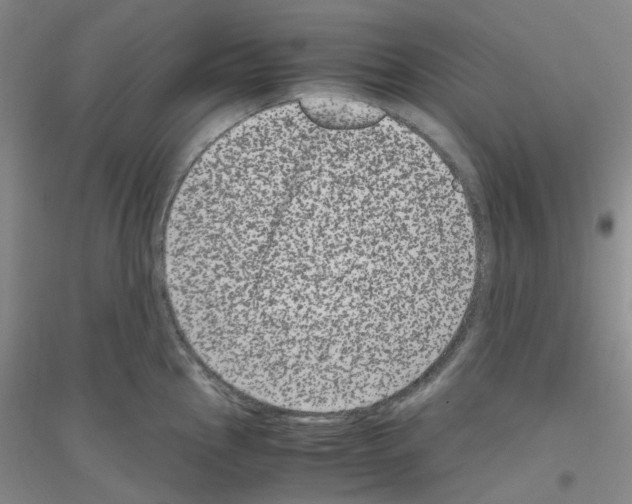 X0000116781145201001281649