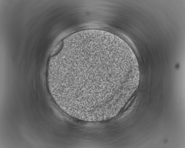 X0000116781146201001281649