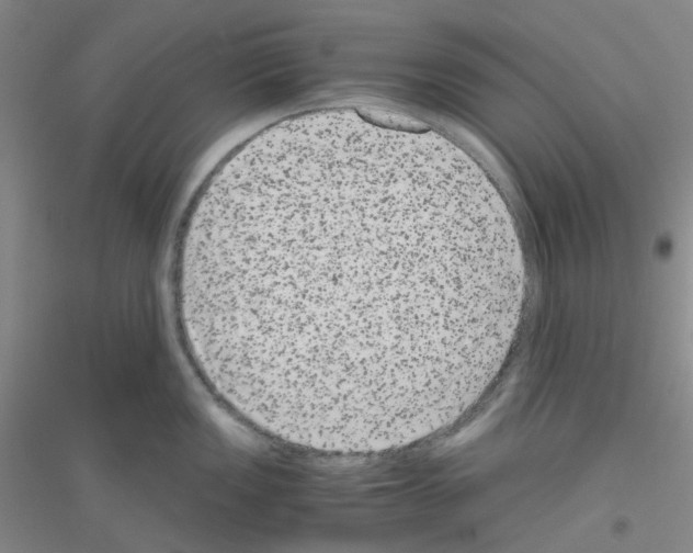 X0000116781149201001281649