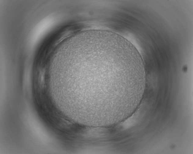 X0000116781150201001281649