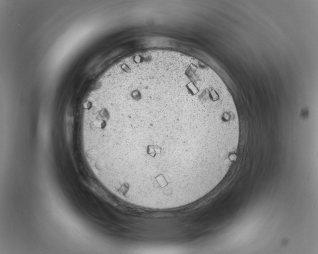 X0000116781151201001281649