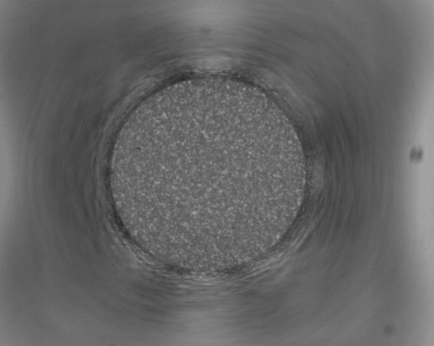 X0000116781153201001281648