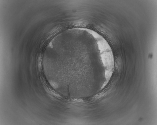 X0000116781154201001281648