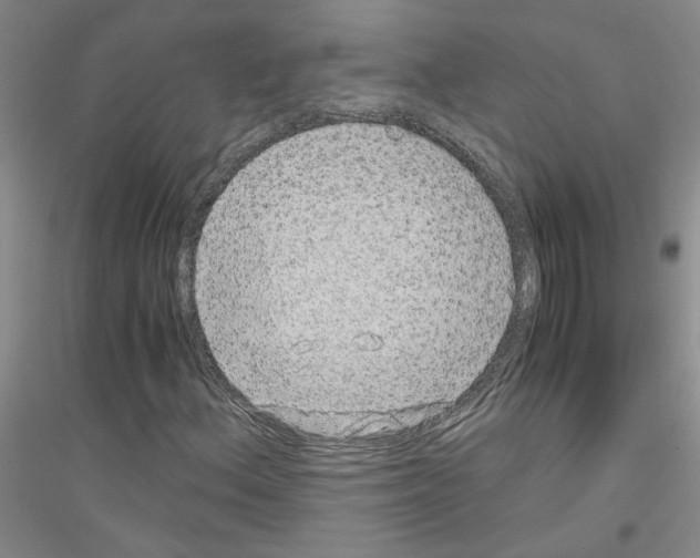 X0000116781156201001281648