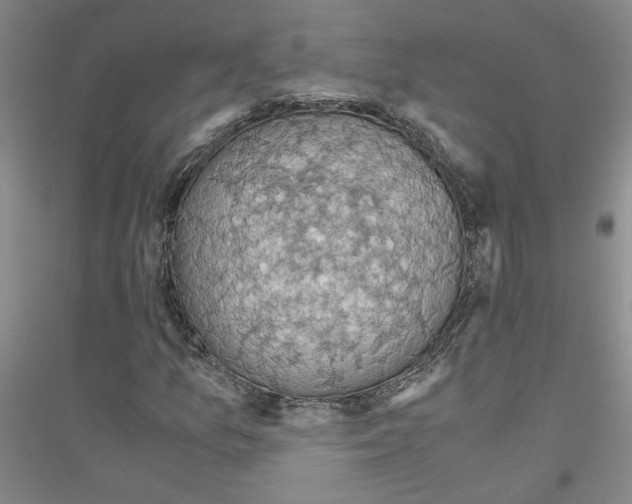 X0000116781157201001281648