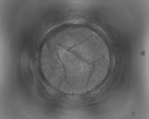 X0000116781158201001281648