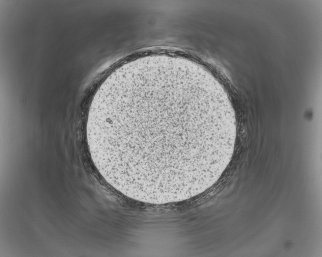 X0000116781159201001281648