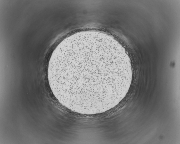 X0000116781160201001281648