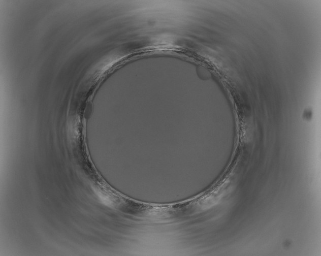 X0000116781161201001281648