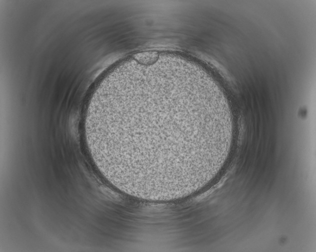 X0000116781162201001281648