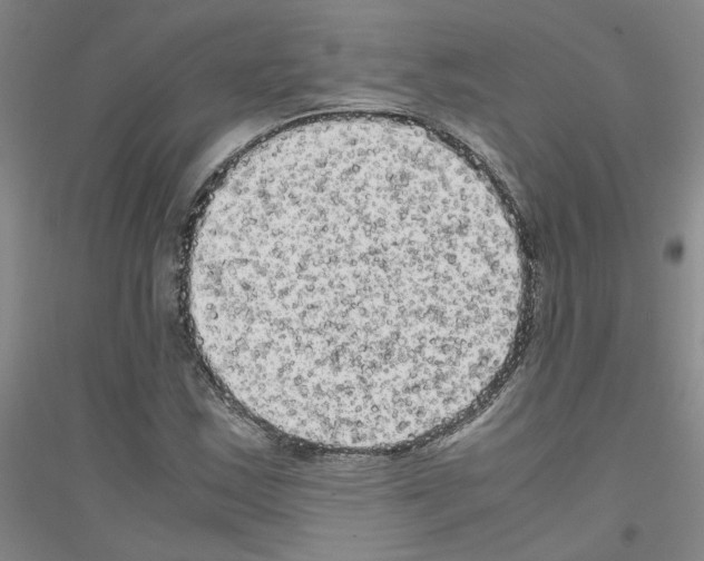 X0000116781163201001281648