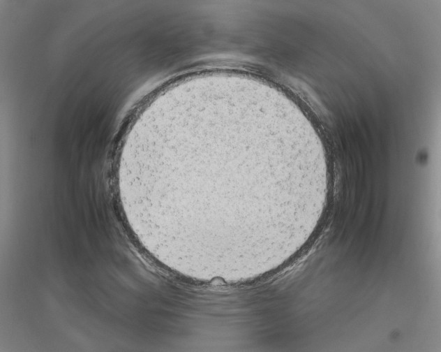 X0000116781164201001281648