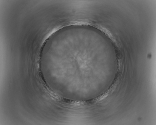 X0000116781165201001281648