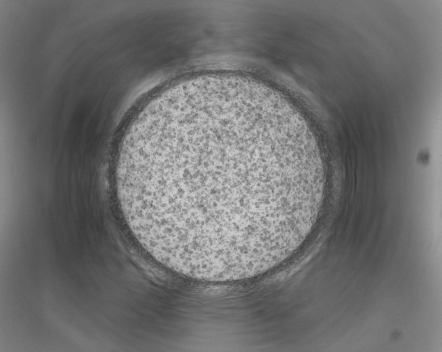 X0000116781166201001281648