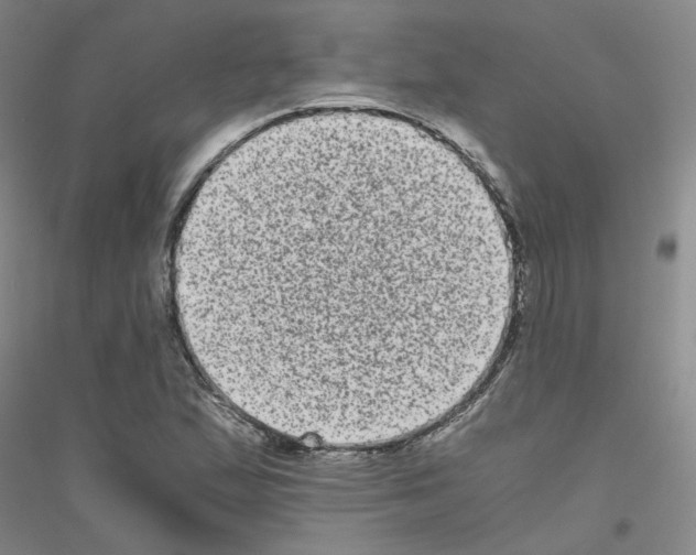 X0000116781167201001281648