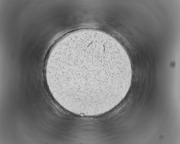 X0000116781168201001281648