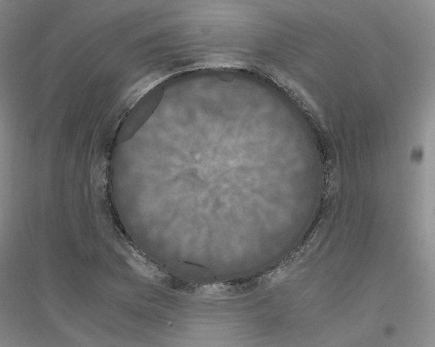 X0000116781169201001281648