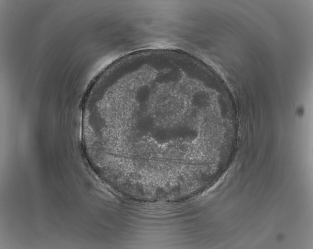 X0000116781171201001281648